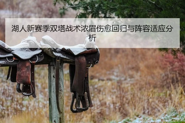 湖人新赛季双塔战术浓眉伤愈回归与阵容适应分析